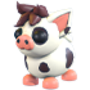 Mini Pig