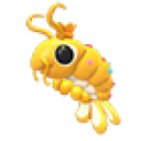 Priceless Shrimp