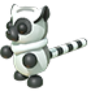 Ring Tailed Lemur